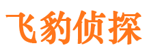 东昌府侦探公司